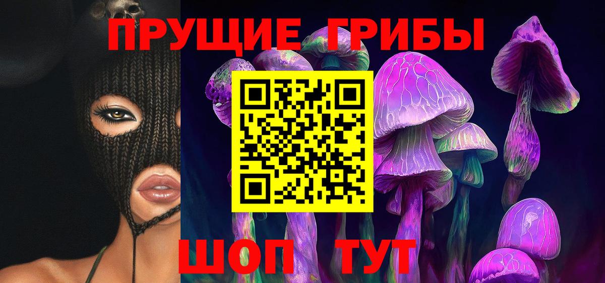 Псилоцибиновые грибы GOLDEN TEACHER  Вход с VPN  Полевской  Псилоцибиновые грибы Psilocybine cubensis 